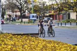 Un domingo con calor y color previo a la llegada de la primavera 