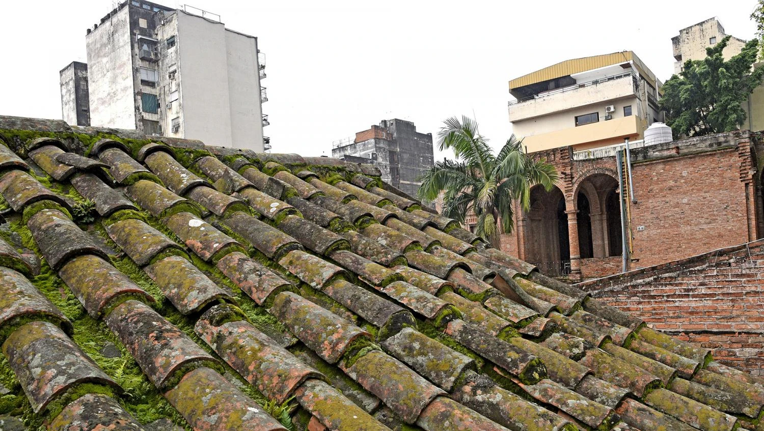 Iglesia San Francisco: cómo es la reparación del techo más viejo de la ciudad