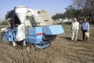 Aspectos  a tener en cuenta por el productor