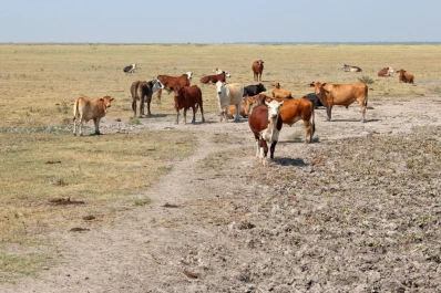 El campo volvió a reunirse en una jornada de debate