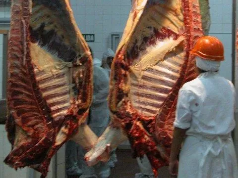 ESCENARIO. Frigoríficos argentinos atraviesan una complicada situación.  LA GACETA / ARCHIVO