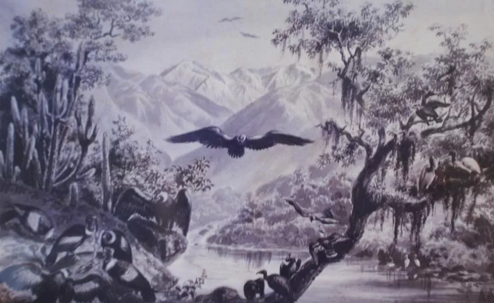 PAISAJE DE 1881. Adolfo Methfessel registró este paisaje en las orillas del río Marapa al sud del cerro nevado del Aconquija, en 1881. Está en Berna, en su álbum de dibujos. LA GACETA/ ARCHIVO.