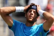Del Potro salió del top 10