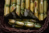 Preparan una Estación de Cuarentena