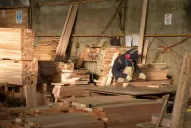 El sector forestal tucumano evaluará estrategias de desarrollo