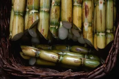 Preparan una Estación de Cuarentena