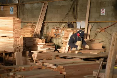 El sector forestal tucumano evaluará estrategias de desarrollo