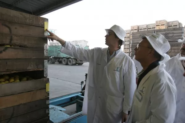 Vence la inscripción de exportadores de fruta cítrica a la UE