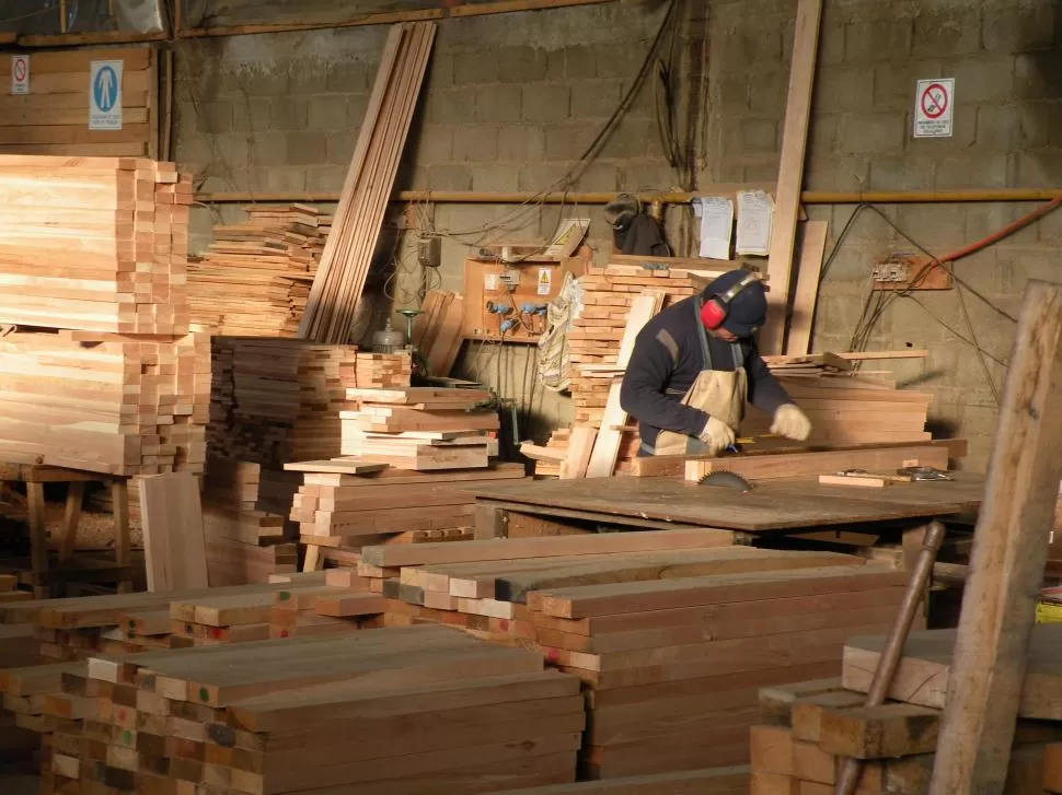 UN PLAN EFECTIVO. Los forestadores buscan ordenar la actividad, tanto en la producción como en la comercialización. FOTOS DE SUB-INDUSTRIA.GOB.AR