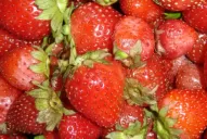 La pérdida de competitividad condiciona a los frutilleros