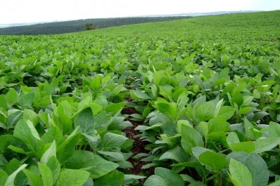 Con imágenes satelitales calculan la cantidad  de agua disponible en el suelo para los cultivos