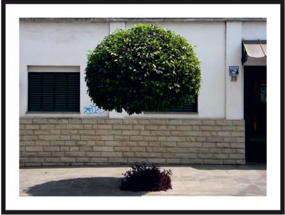 ¿ILUSIÓN? XVIII es el título de la fotografía de Javier Soria Vázquez.  