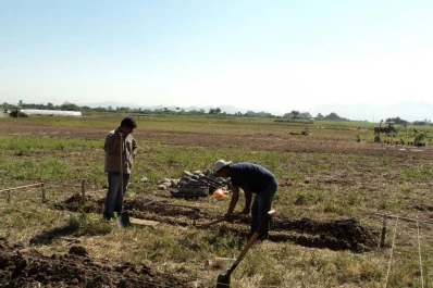 El viernes comienza la muestra INTA Expone NOA