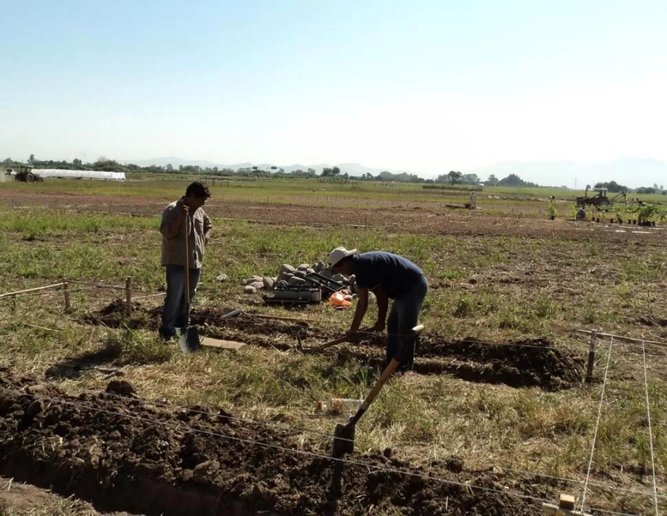 PREPARATIVOS. Durante la semana fue intensa la actividad en los predios del INTA Cerrillos, en Salta, donde se desarrollará la muestra durante tres días.  