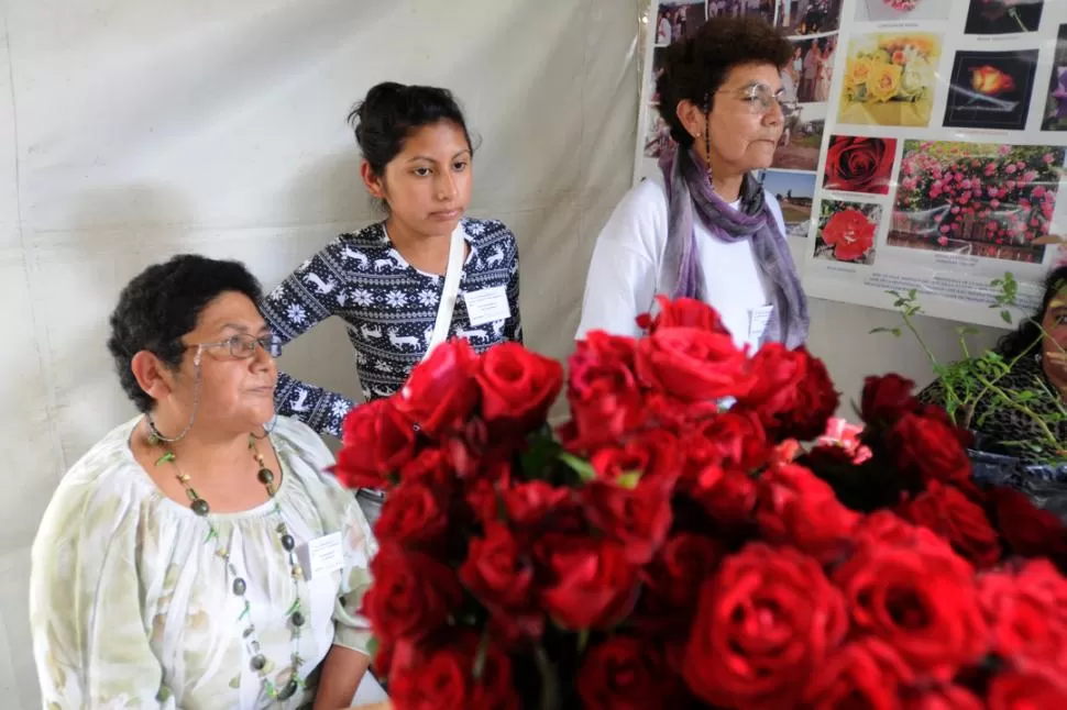 ROSAS. Las productoras de La Cocha ofrecen también hortalizas y plantines. LA GACETA / FOTOS DE INES QUINTEROS ORIO