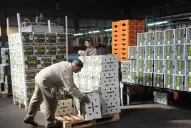 Españoles piden un freno al limón argentino