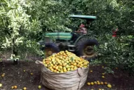 El otro precio a pagar por la expropiación de YPF