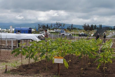 El INTA abre las puertas de la exposición no comercial más grande de América latina