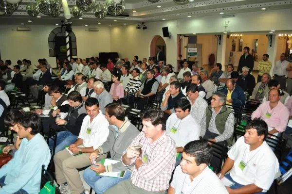 Hay que regar, fertilizar y cuidar el medio ambiente