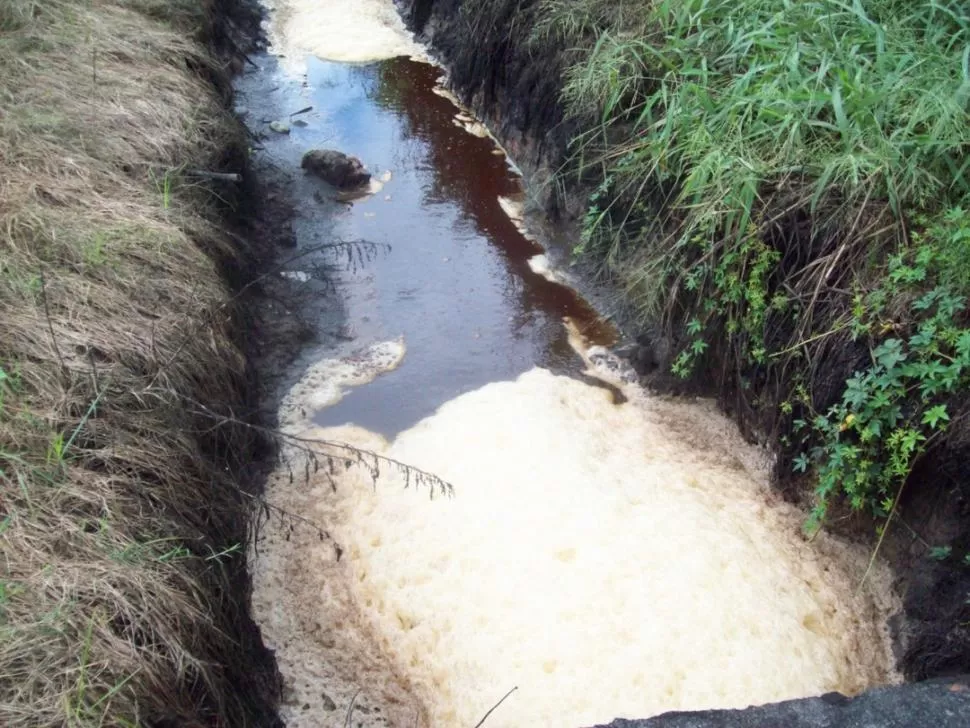 PROGRAMA. La industria se comprometió con efluentes cero.  