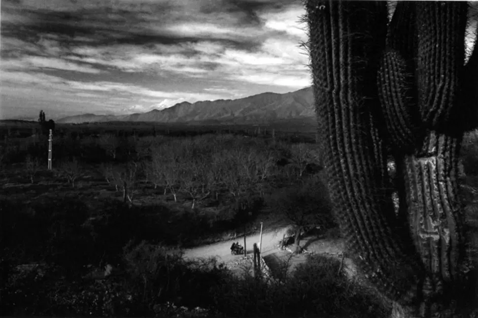 LIBRO. Vista de las Cumbres Calchaquíes es el título de esta obra.  FOTO DE DON RYPKA