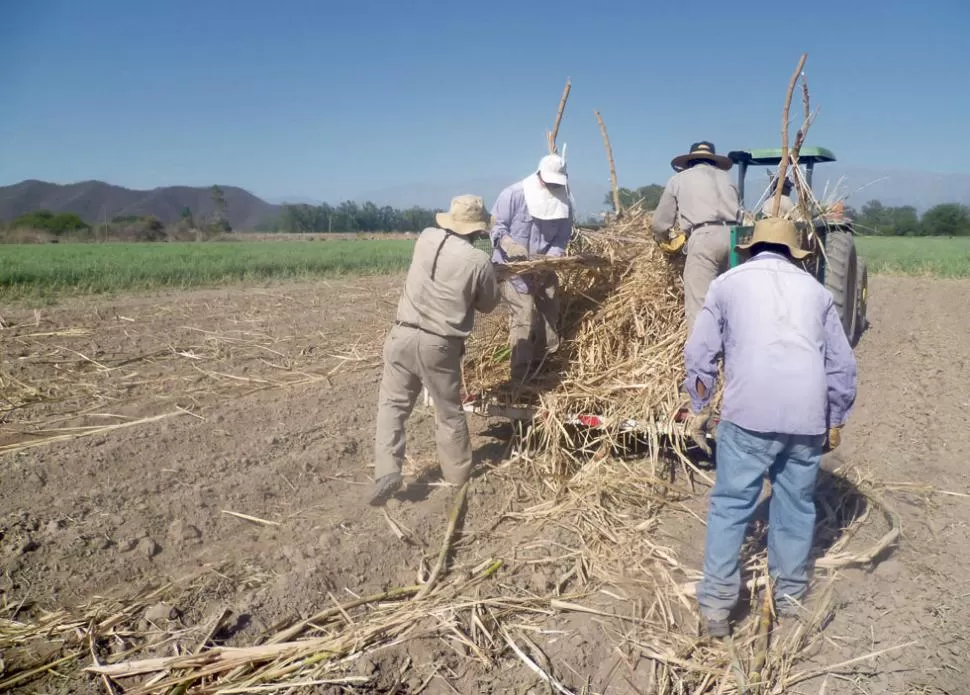 LITIGIOS. La problemática gira en la falta de titularización de los campos.  