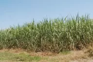 Activa participación de la Eeaoc en la reunión de la Satca