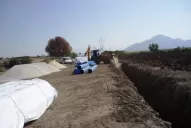 Los productores brasileños adecuan sus campos para utilizar los nuevos sistemas