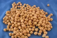 Interés por el manejo del cultivo de garbanzo