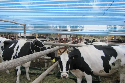 Lanzamiento oficial de Expo Láctea Trancas 2012