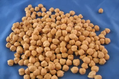 Interés por el manejo del cultivo de garbanzo