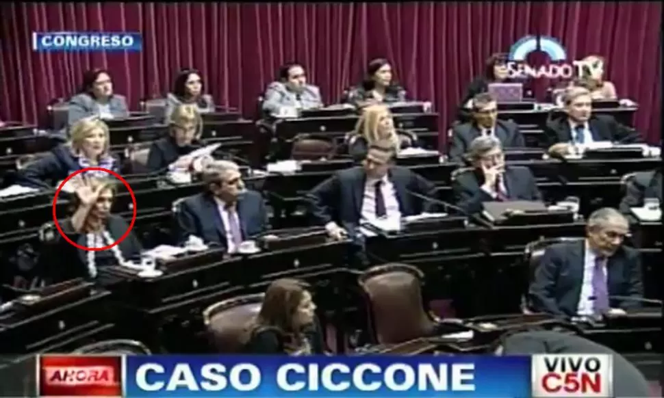 CONTRA BOUDOU. Rojkes levanta su mano ante la mirada desconcertada de Pichetto. CAPTURA DE VIDEO