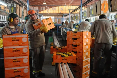 Hay incertidubre por la comercialización de los citrus