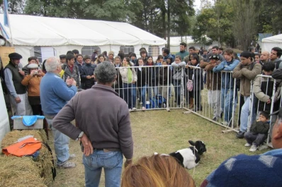Los productores lecheros apuestan a seguir creciendo y a mejorar su producción de leche