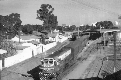 Los caminos de hierro: sin trenes se oxidan de nostalgias