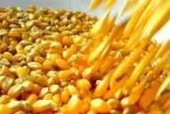 Maizar reclama por el precio de los fletes