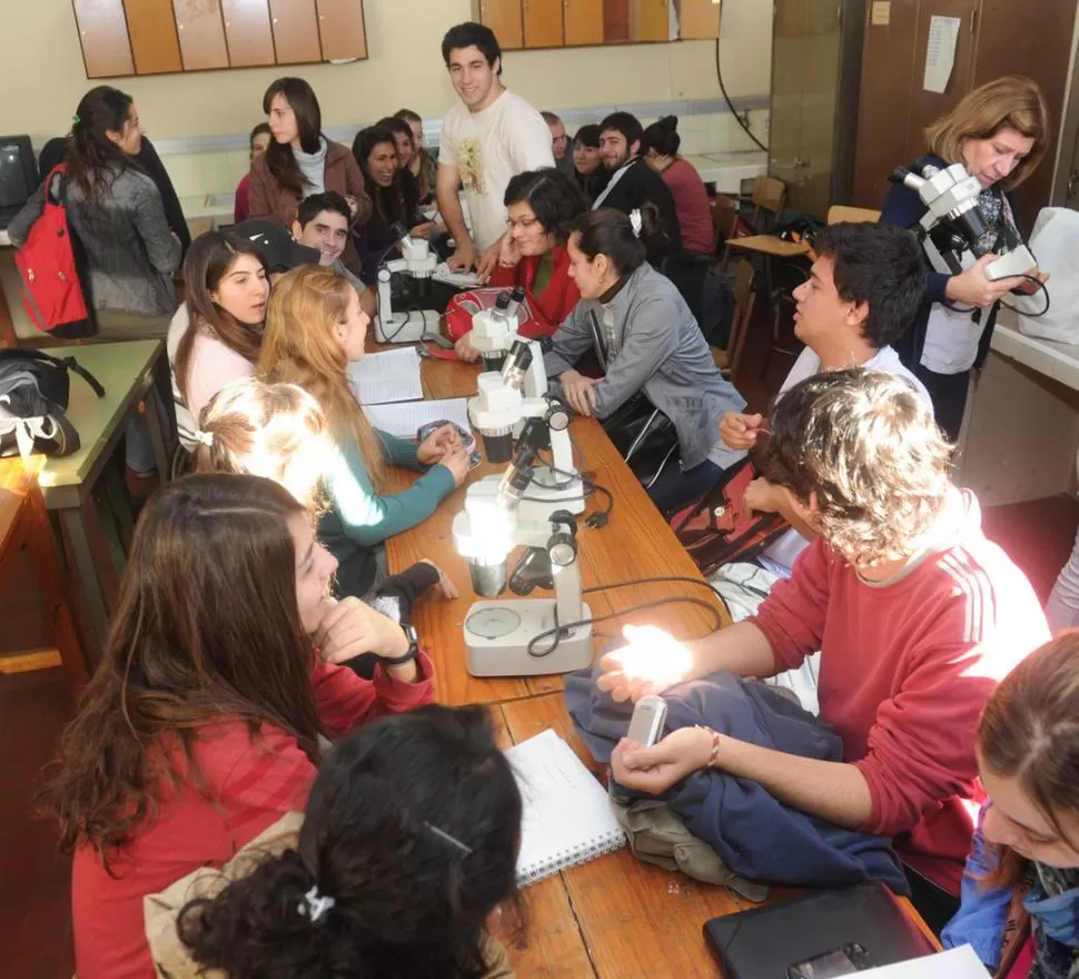  USO MÚLTIPLE. Algunas habitaciones de la Facultad funcionan simultáneamente como aulas, gabinetes docentes y hasta laboratorios de investigación. LA GACETA / FOTOS DE ANTONIO FERRONI