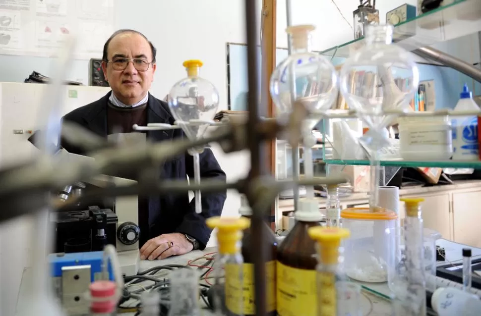 SORPRESA. Juan Carlos Luján comprobó que las radiaciones de diferentes fuentes atrofiaron el choclo: el primero fue expuesto a celulares, el segundo a rayos UV y el tercero a un microondas. LA GACETA / FOTOS DE FRANCO VERA 