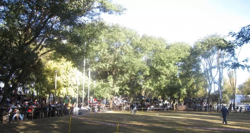 SE VENDIERON ANIMALES A BUENOS PRECIOS, PERO EN VARIAS CUOTAS. La crisis financiera se percibió en el remate de ejemplares machos y hembras de la raza Holando Argentino, ya que los productores compraron a 9 cuotas. LA GACETA / FOTO DE DANIEL VACA 