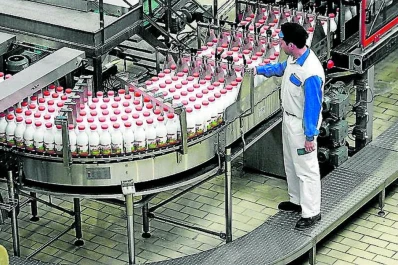 Invertirán $ 20 millones para el desarrollo de lácteos funcionales