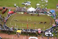 Trabajamos con una raza que funciona muy bien y que está poblando los campos argentinos