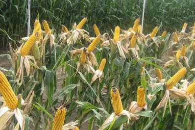 Estiman que los productores no utilizan más  del 5% de la tecnología actualmente disponible