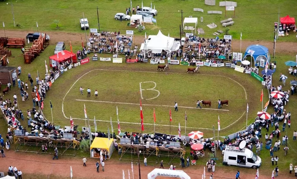 RIACHUELO (CORRIENTES). En la pista de la Sociedad Rural se presentaron los ejemplares, machos y hembras, que compitieron en las distintas categorías. LA GACETA / ARCHIVO