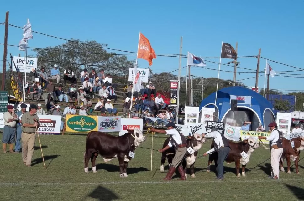 OJO EXPERTO. El juez Julio Busso, a la izquierda, jura terneros de la raza. LA GACETA / ARCHIVO