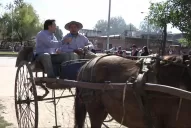 Siempre anduve y siempre andaré en sulky