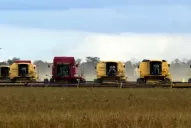 Las previsiones se cumplieron: las pérdidas  en la producción de granos fueron muy altas