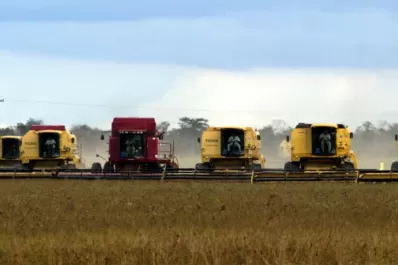 Las previsiones se cumplieron: las pérdidas  en la producción de granos fueron muy altas