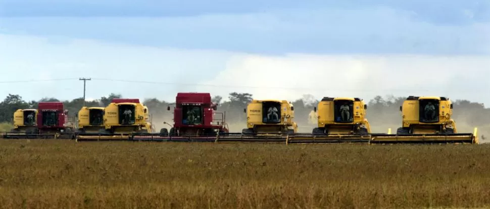 PREVISIONES. Un informe preliminar de Consorcios Regionales de Experimentación (Crea) marcaba la caída de los rendimientos de cultivos de verano, de un 50% promedio, en el país a causa de la falta de precipitaciones. FOTOS REUTERS - LA GACETA / ARCHIVO