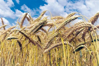 Cambia de autoridad el manejo de las compensaciones