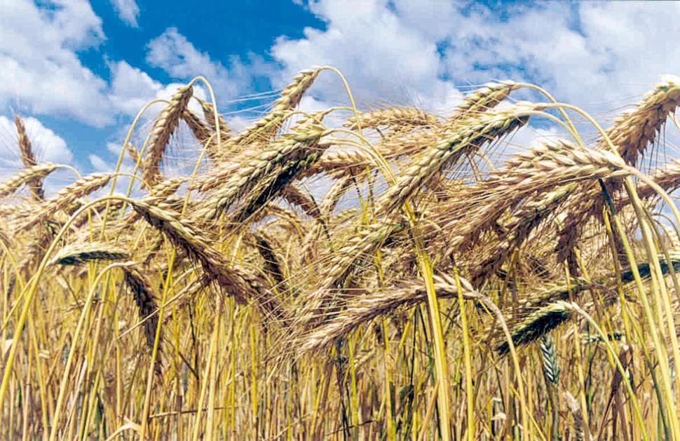 Cambia de autoridad el manejo de las compensaciones